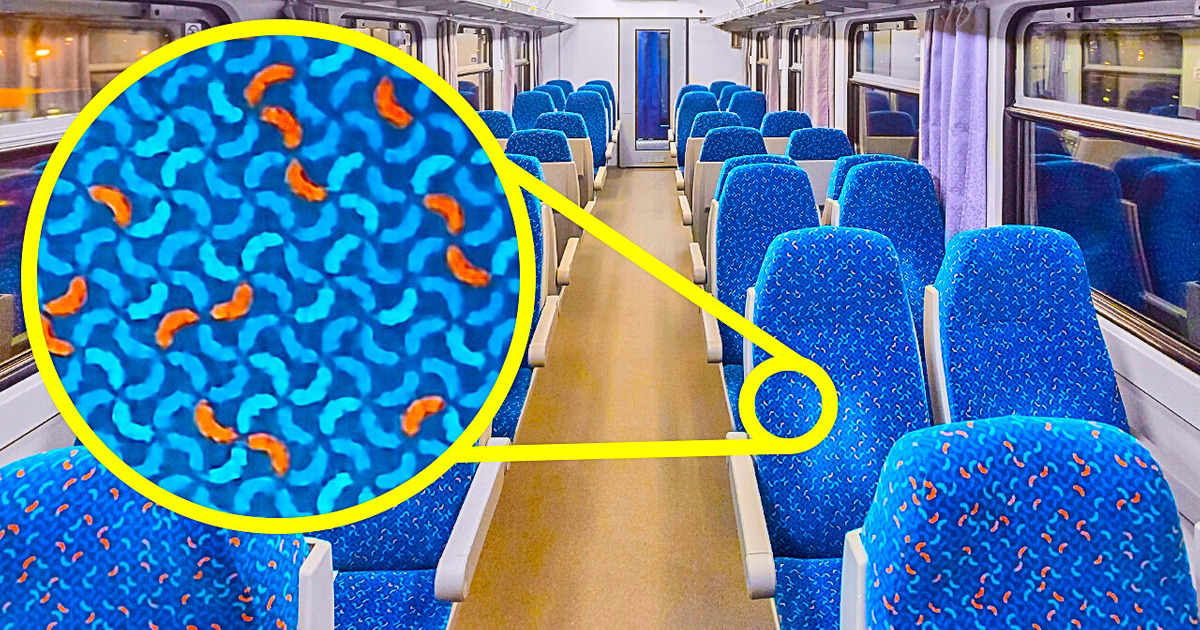 A razão genuína pela qual os assentos dos ônibus são forrados com estampas e mais 10 outros segredos