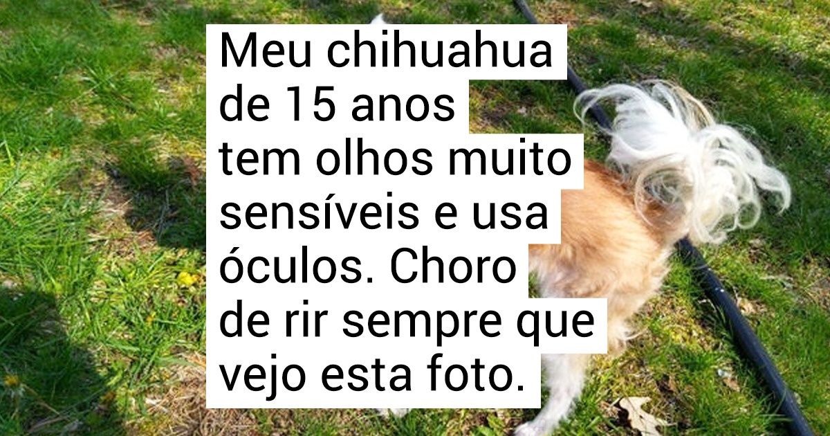 18 Momentos alegres compartilhados pelos internautas este mês e que arrancaram sorrisos de todos nós