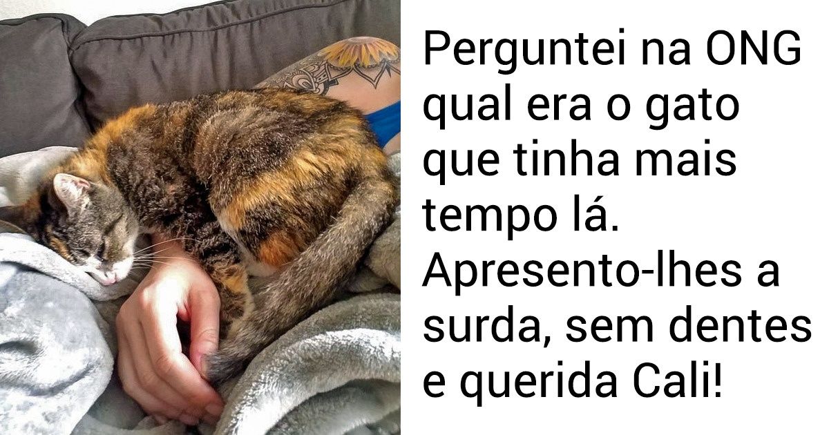 20+ Animais que antes estavam abandonados e agora têm família 20+ Animais que antes estavam abandonados e agora têm família