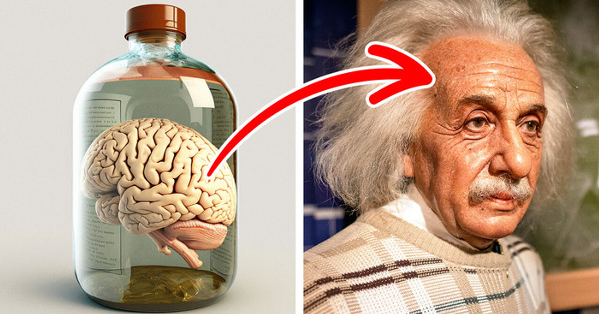 Trabalhou como funcionário público + outros fatos que você não sabia sobre Einstein Trabalhou como funcionário público + outros fatos que você não sabia sobre Einstein