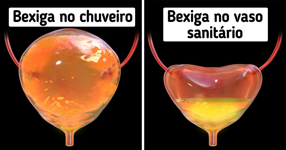 Urinar no chuveiro pode não ser tão benéfico para todas as pessoas, nem higiênico, diz a ciência Urinar no chuveiro pode não ser tão benéfico para todas as pessoas, nem higiênico, diz a ciência