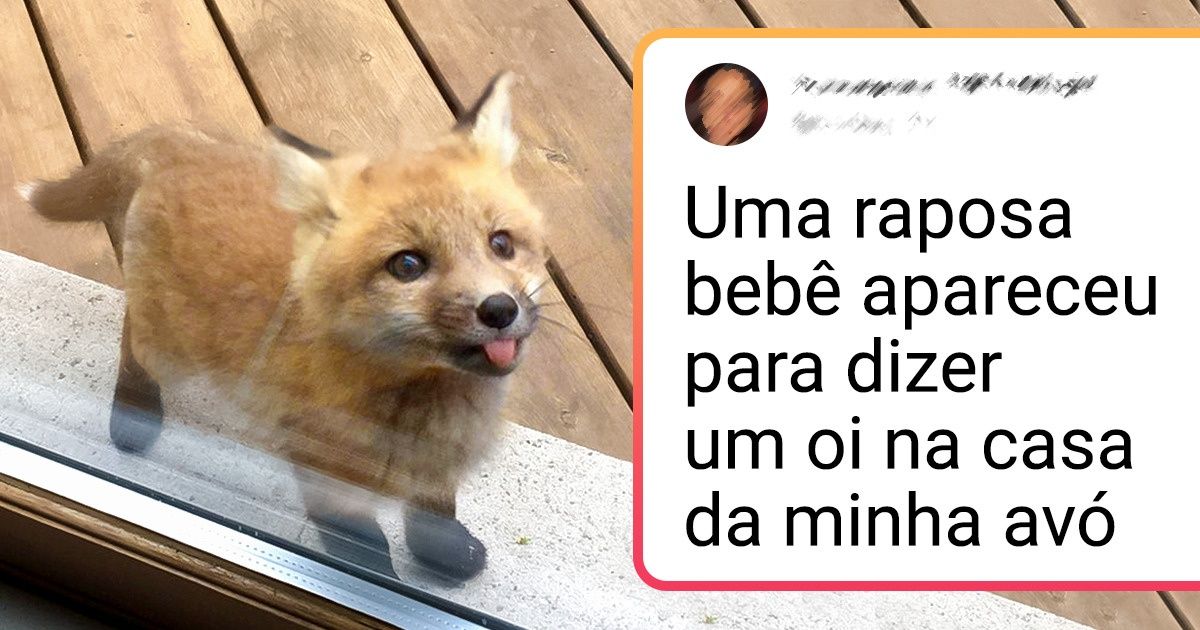 23 Belos animais bebês que comprovam a perfeição da natureza