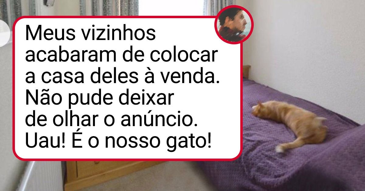 18 Histórias de quando as pessoas voltaram para casa e acharam um gato que nem era delas 18 Histórias de quando as pessoas voltaram para casa e acharam um gato que nem era delas
