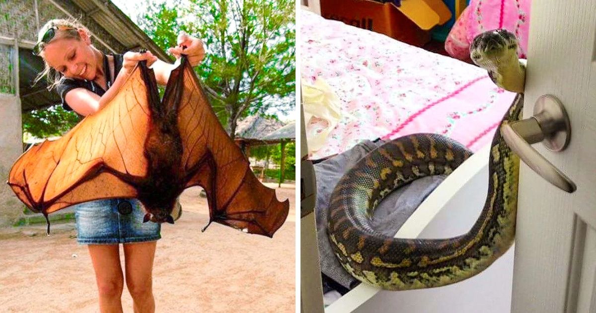 Quando a natureza definitivamente consegue nos surpreender Quando a natureza definitivamente consegue nos surpreender