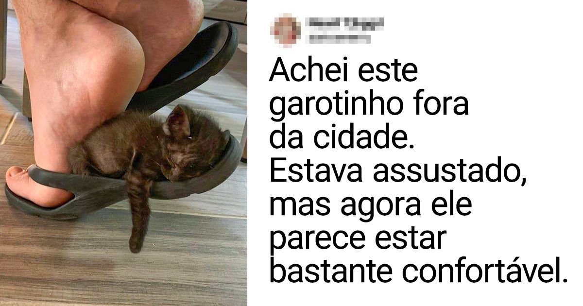 17 Fotos que têm uma história que podem ser dignas de adaptação cinematográfica 17 Fotos que têm uma história que podem ser dignas de adaptação cinematográfica