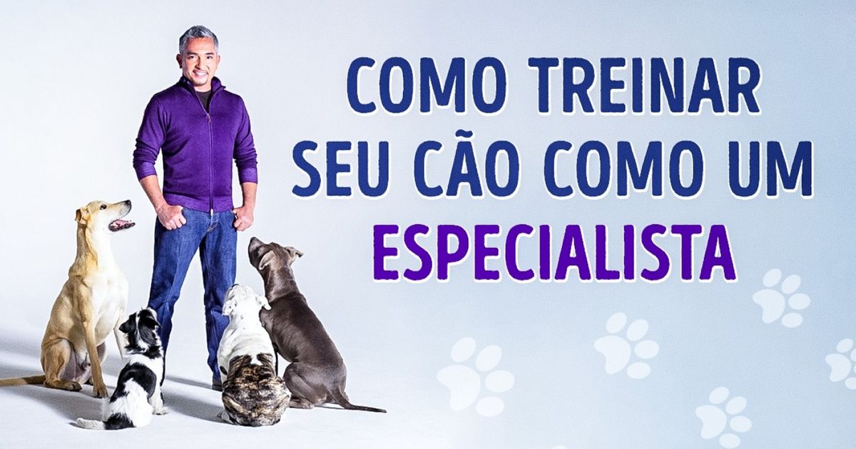 Treine seu cachorro como um adestrador de verdade