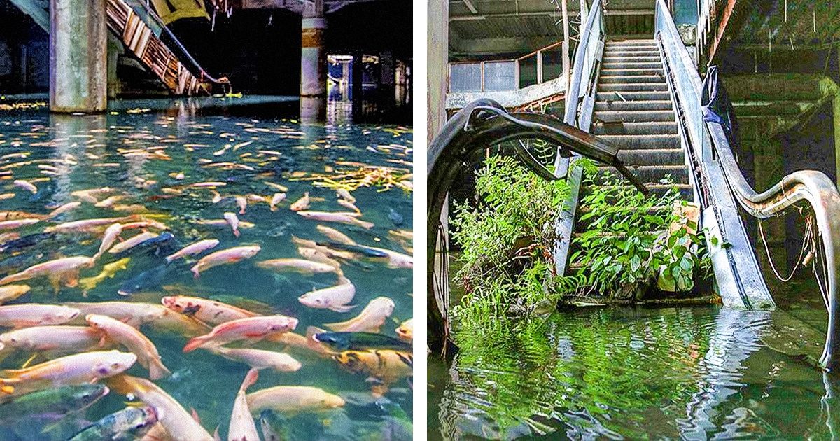 24 Fotos dramáticas que mostram que a natureza sempre vence