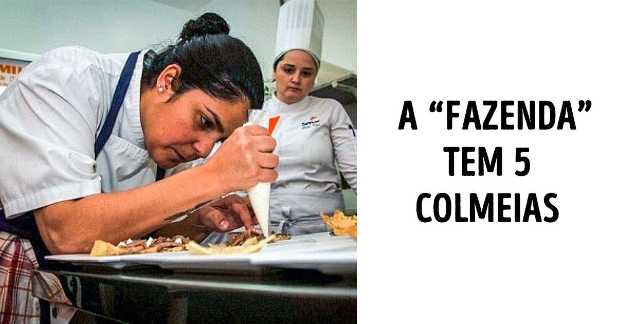 A chef que construiu um ’hotel para abelhas’ em seu restaurante A chef que construiu um ’hotel para abelhas’ em seu restaurante