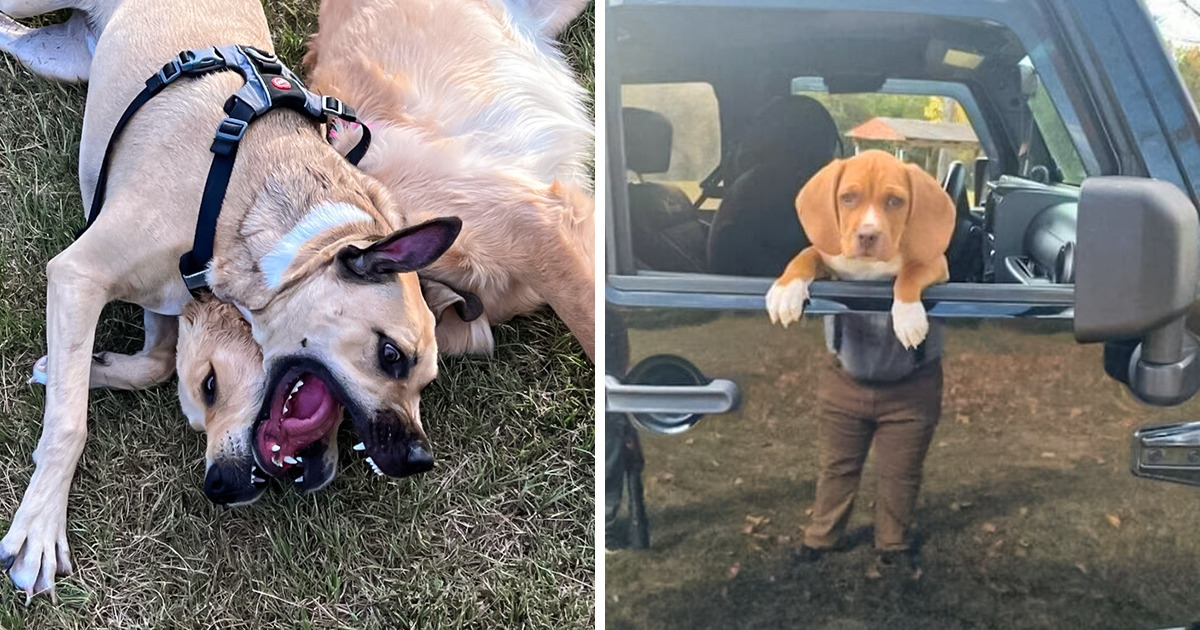17 Fotos enigmáticas que brincam com a linha entre realidade e ilusão