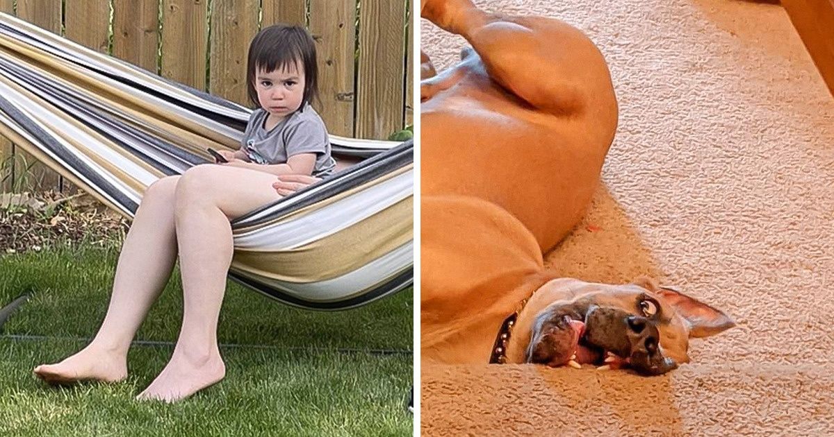 14 Fotos com ângulos tão únicos que podem te confundir além da razão 14 Fotos com ângulos tão únicos que podem te confundir além da razão