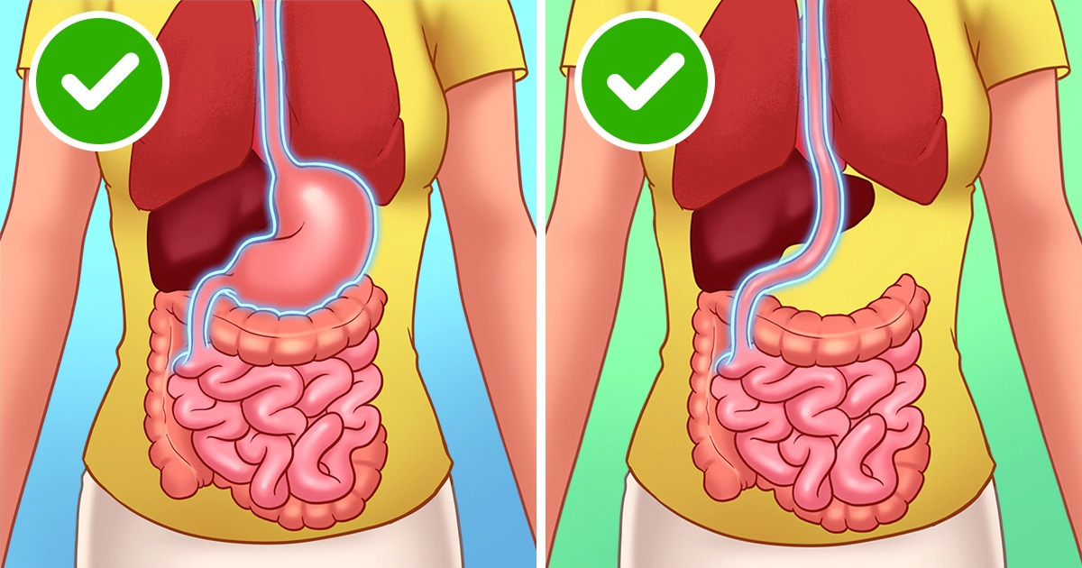 Por que ainda temos estas 11 partes do corpo que não precisaríamos para sobreviver