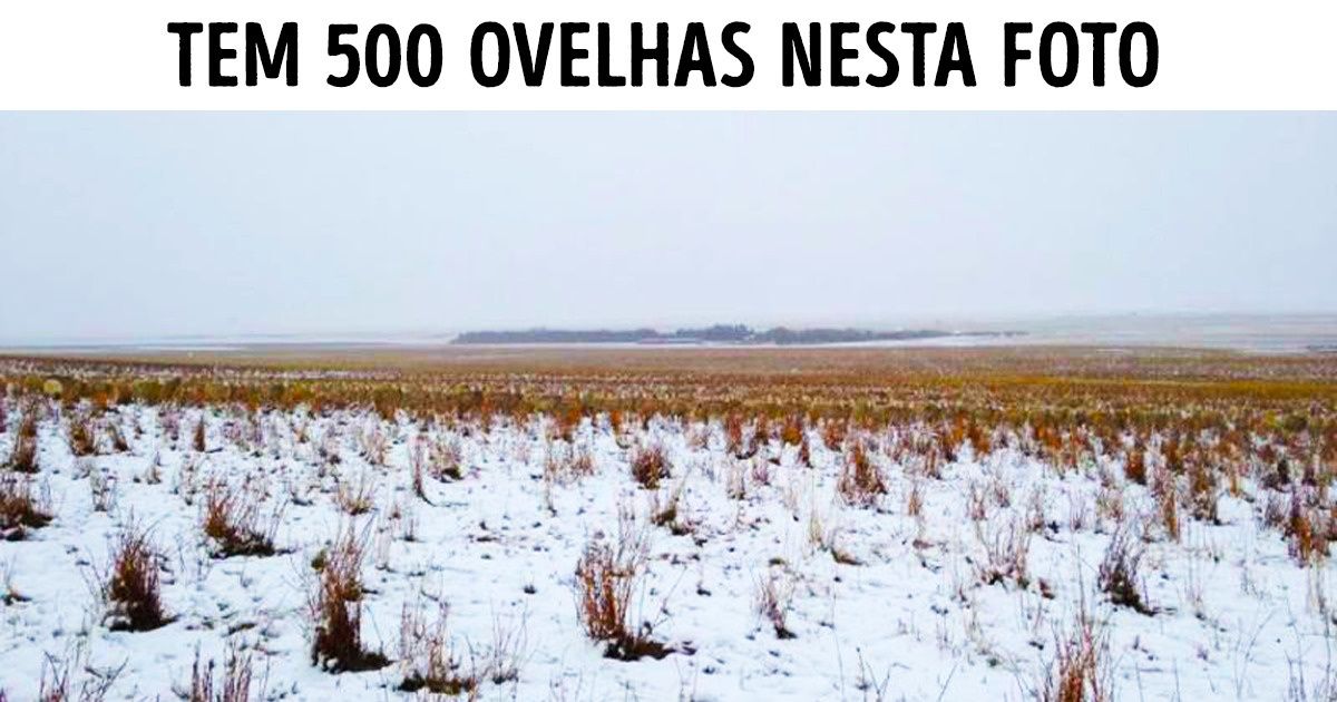 12 Ilusões de ótica que mostram que nem sempre devemos confiar em nossos olhos