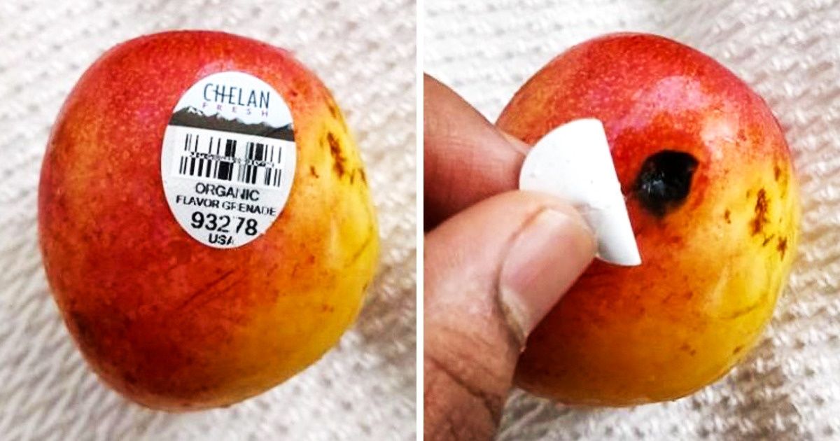 18 Provas de que a vida às vezes apronta surpresas desagradáveis