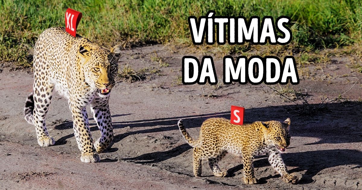 20 Fotos que mostram o motivo pelo qual os animais estão cansados dos humanos