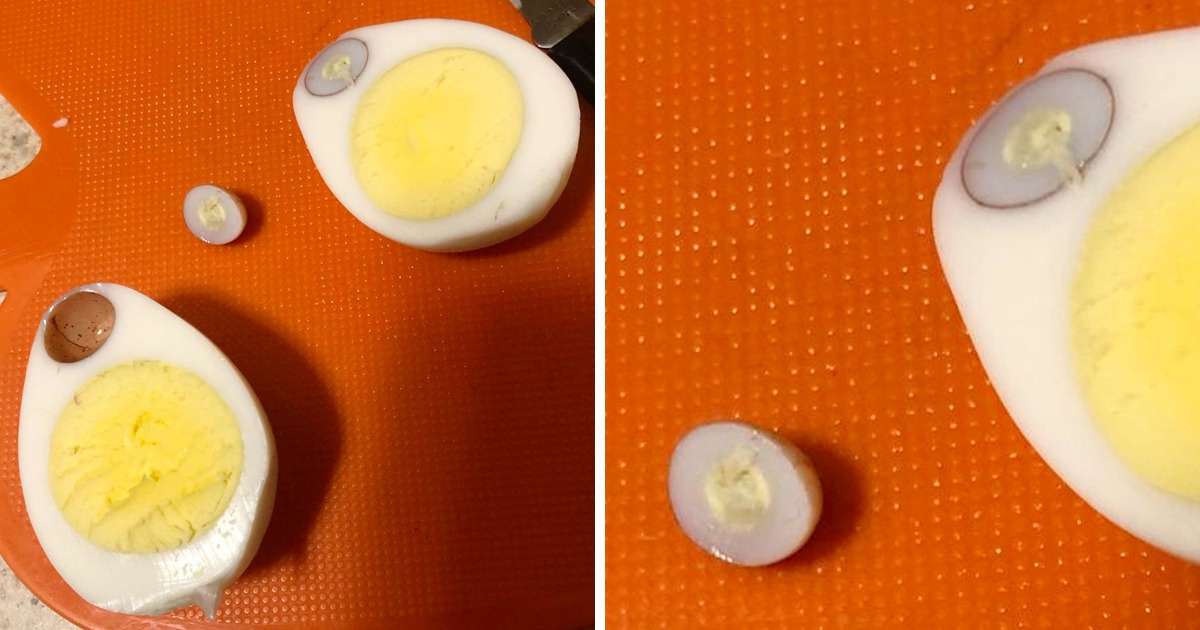 20 Casos em que comer ficou em segundo plano depois que o prato foi apresentado