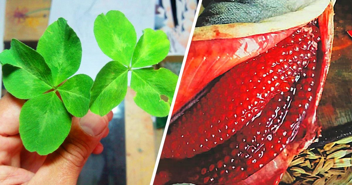 19 Fotos cujos autores tiveram uma oportunidade entre um milhão