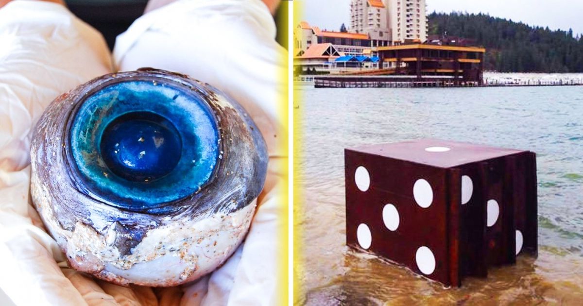 10 Exemplos de como estamos acabando com os oceanos 10 Exemplos de como estamos acabando com os oceanos