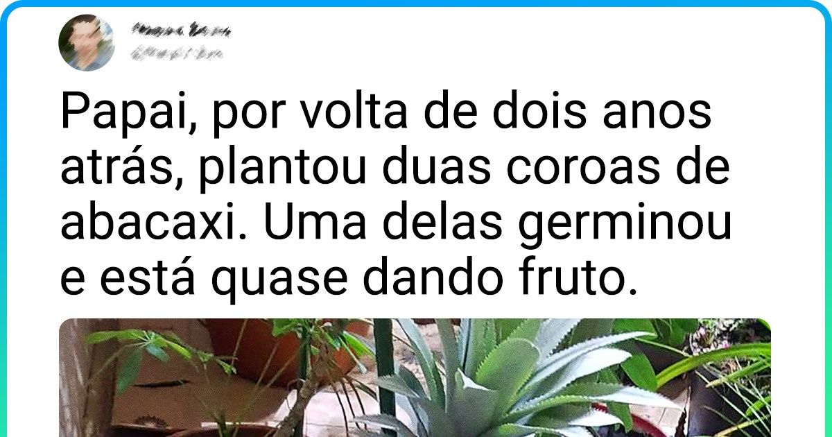 20 Provas de que a natureza é uma verdadeira caixinha de surpresas 20 Provas de que a natureza é uma verdadeira caixinha de surpresas