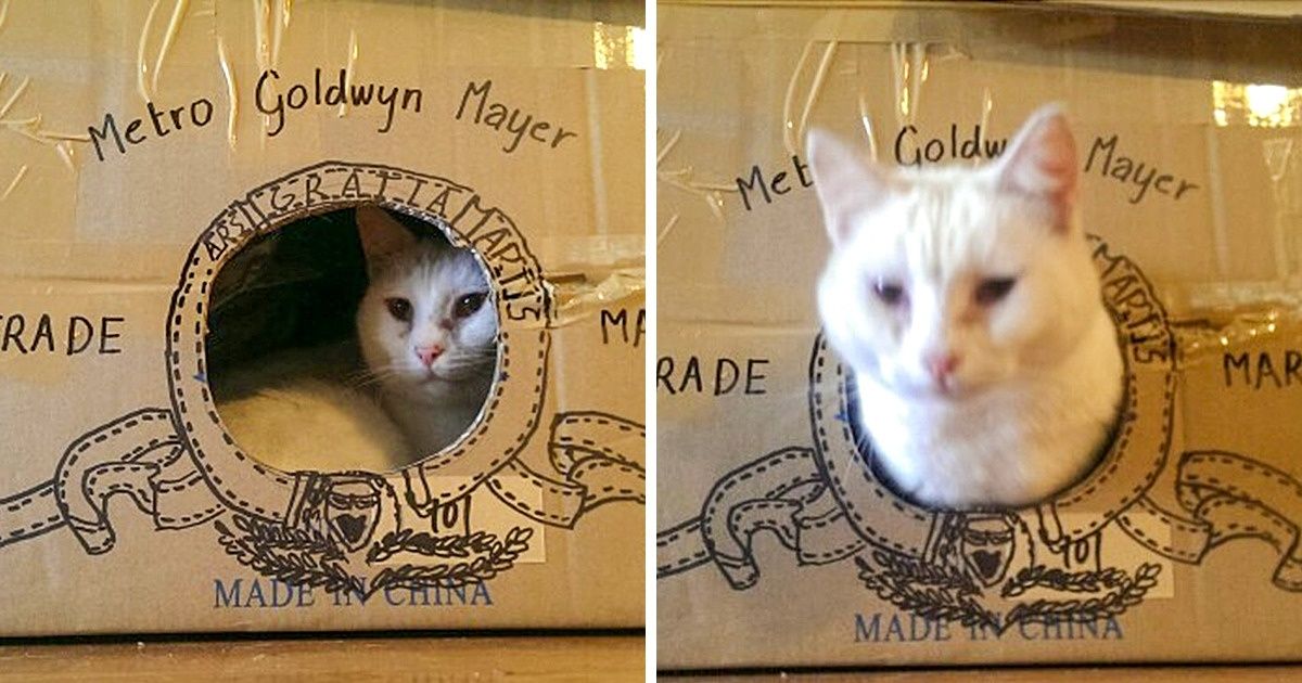 23 Pessoas que dominam a arte de criar paródias