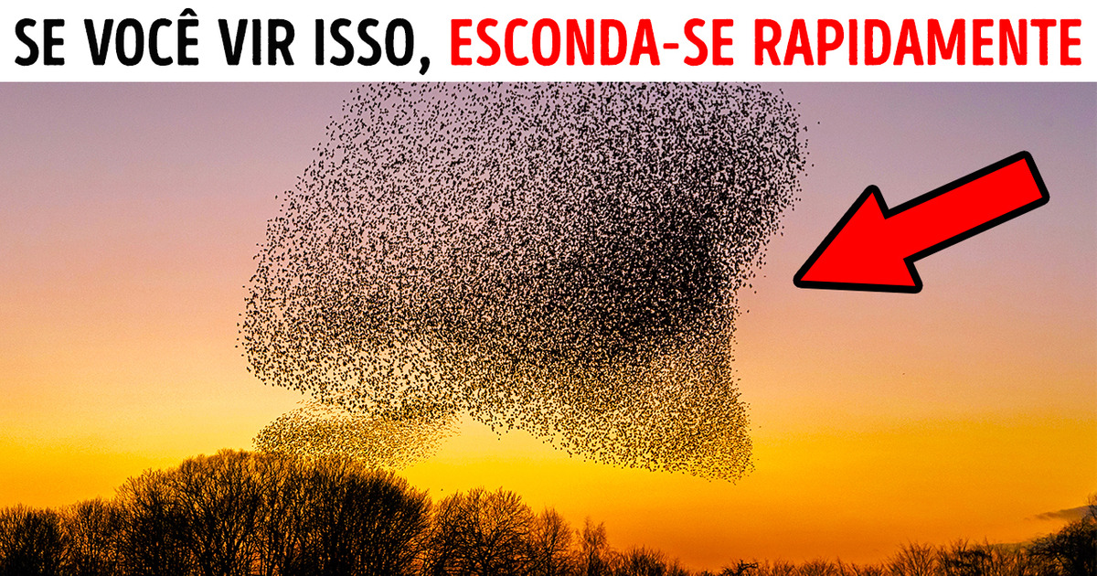 Quando vir isto no céu, procure um lugar seguro
