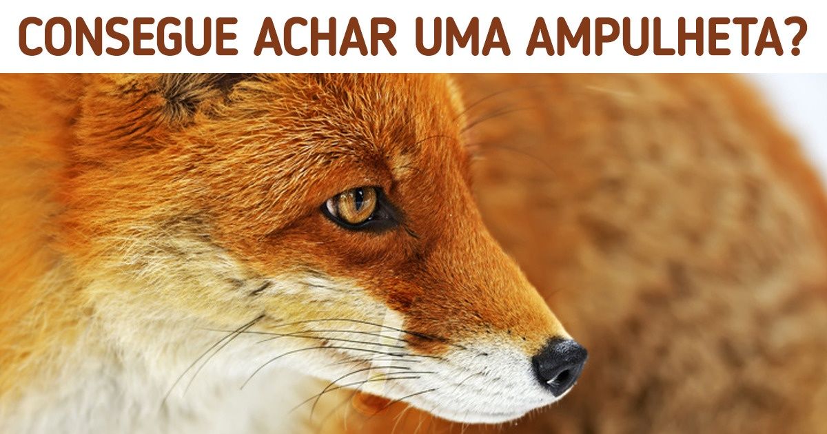 Teste: Como está a sua visão? Tente achar os objetos escondidos nestas 20 fotos de animais Teste: Como está a sua visão? Tente achar os objetos escondidos nestas 20 fotos de animais