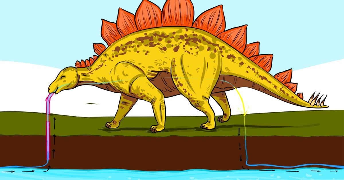 26 Fatos que mostram o pouco que sabemos sobre o mundo