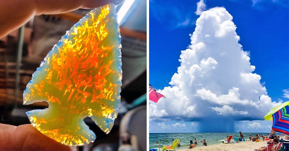 Fotos supreendentes sem nada de Photoshop, por incrível que pareça