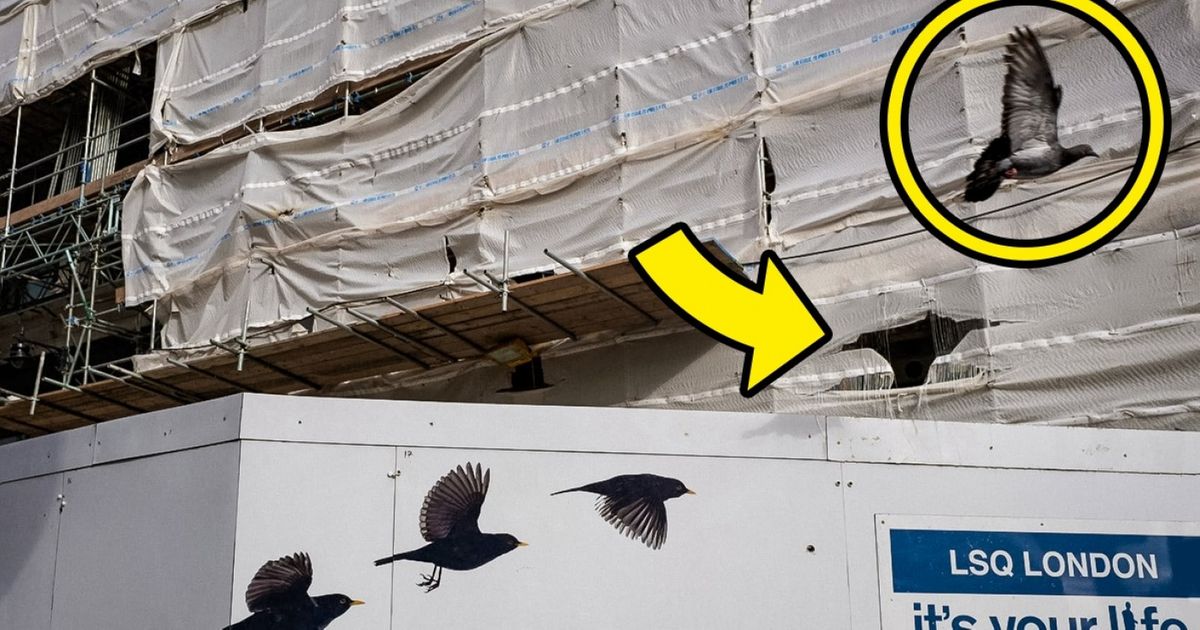 20 Fotos cheias de coincidências
