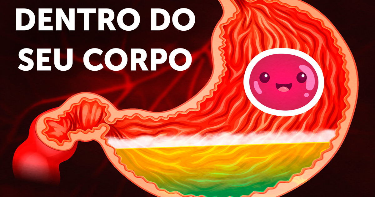 Uma jornada dentro do corpo humano