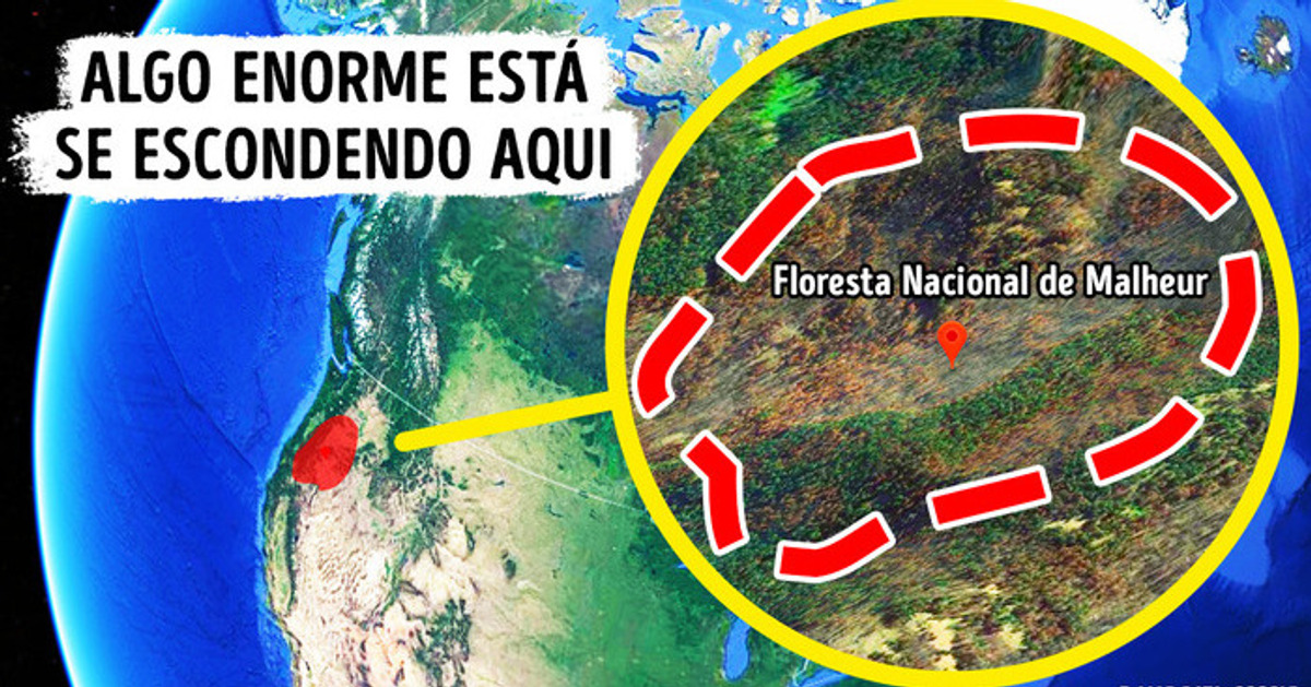 Algo maior que o megalodonte está se escondendo na floresta