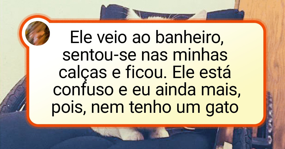 16 Fofinhos que de repente decidiram: “Que lugar confortável! Vou ficar por aqui mesmo”