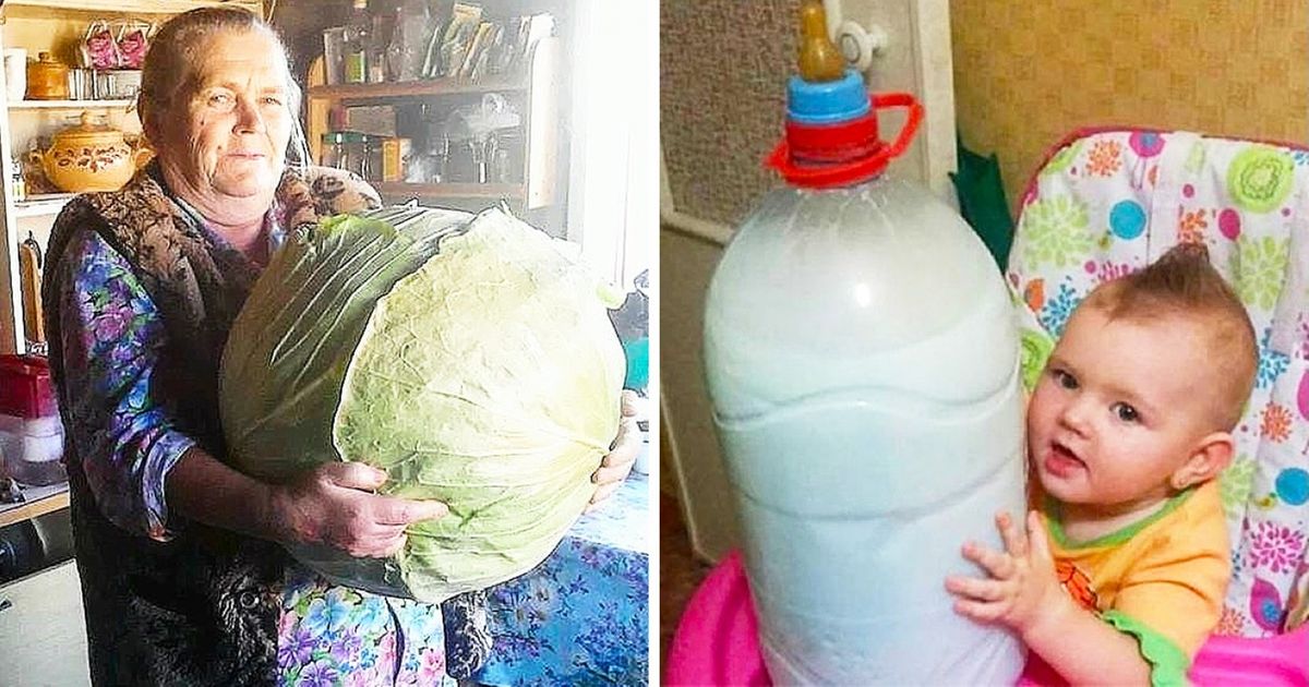 20+ Fotos divertidas de pessoas no país dos gigantes