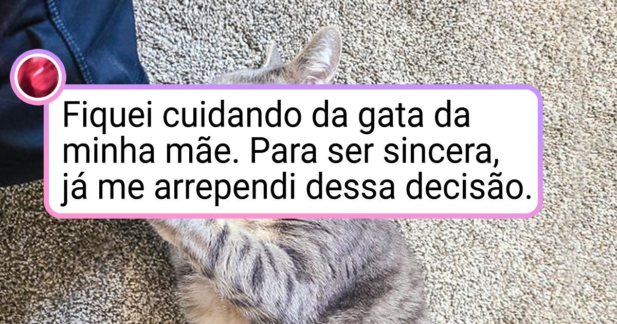 18 Animais de estimação tão fofos que não tem como ficar bravo com eles 18 Animais de estimação tão fofos que não tem como ficar bravo com eles