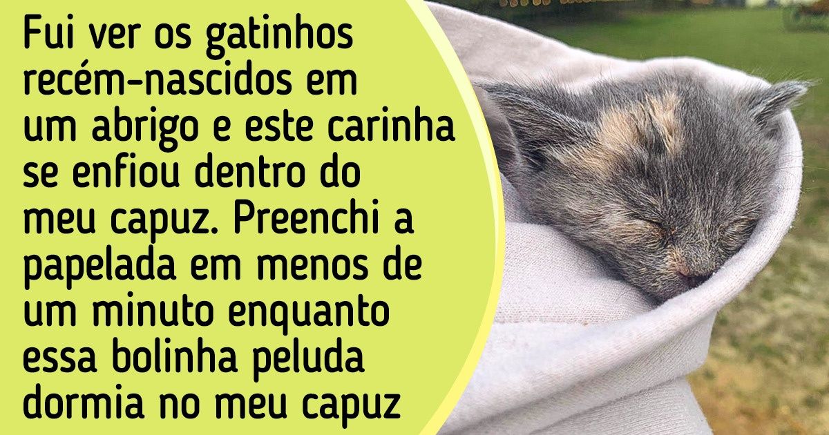 20+ Relatos sobre a profunda relação entre o dono e seu animal resgatado