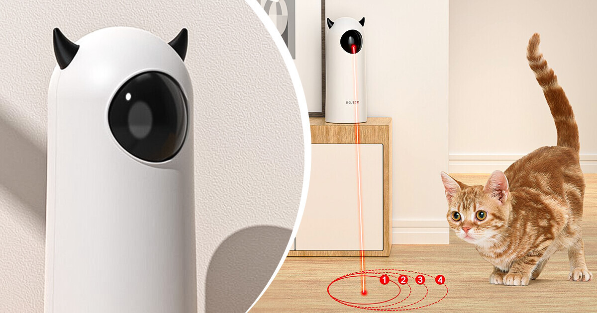 13 Produtos indispensáveis para facilitar sua vida de pai ou mãe de pet 13 Produtos indispensáveis para facilitar sua vida de pai ou mãe de pet