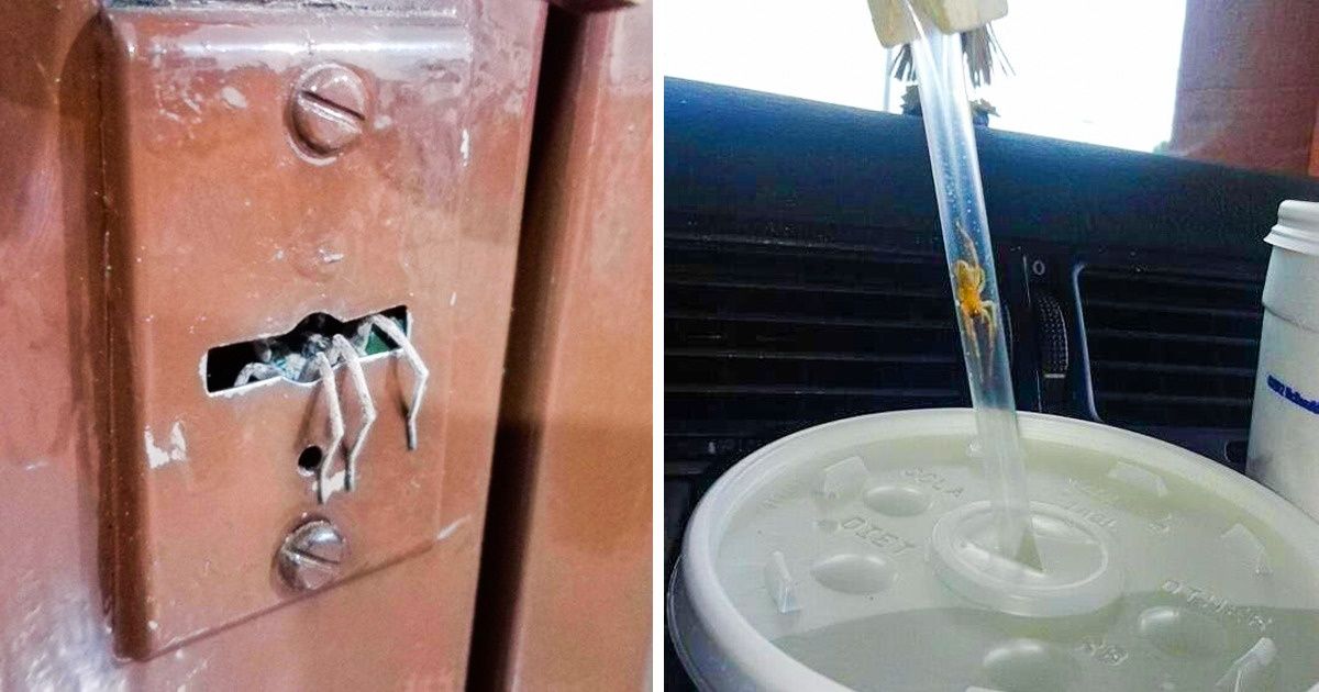 18 Fotos que assustam mais do que qualquer história de terror 18 Fotos que assustam mais do que qualquer história de terror