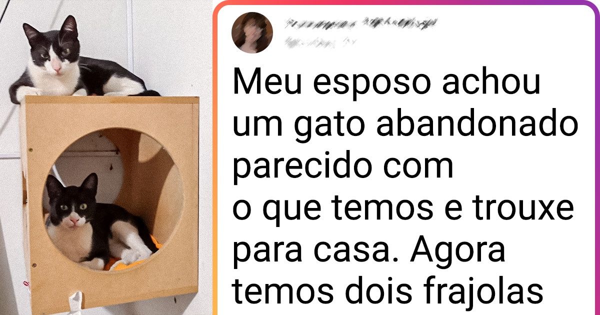 20 Relatos de internautas mostram como a vida pode preparar o melhor para nós, mesmo quando não esperamos 20 Relatos de internautas mostram como a vida pode preparar o melhor para nós, mesmo quando não esperamos