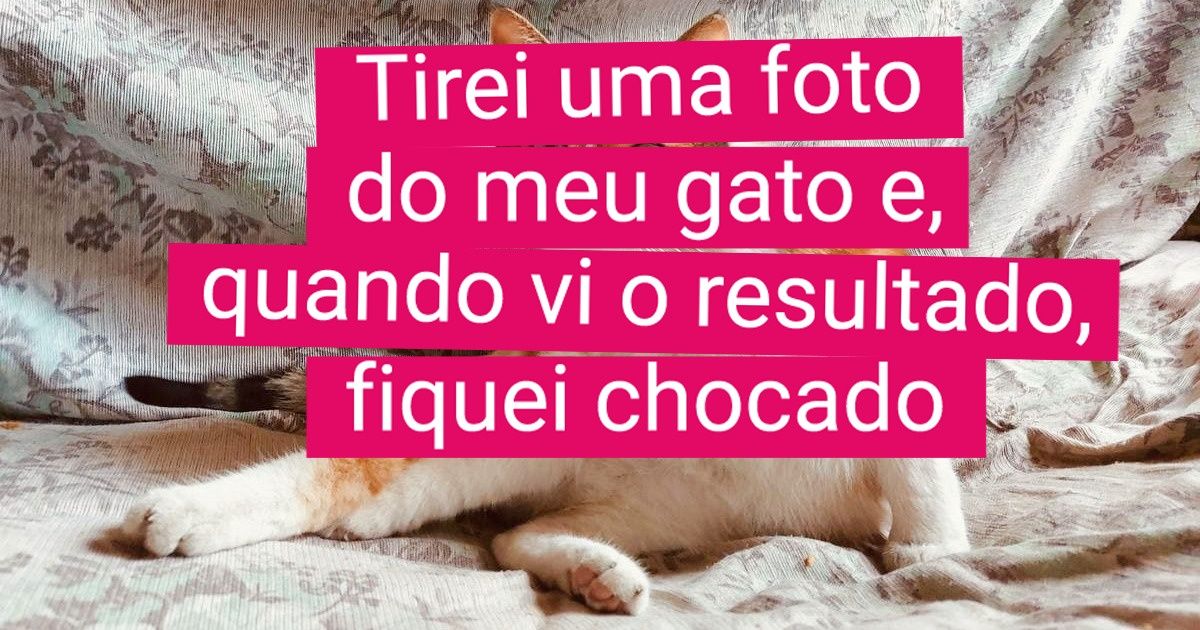 19 Fotos espontâneas que ficaram parecendo verdadeiras obras de arte renascentista