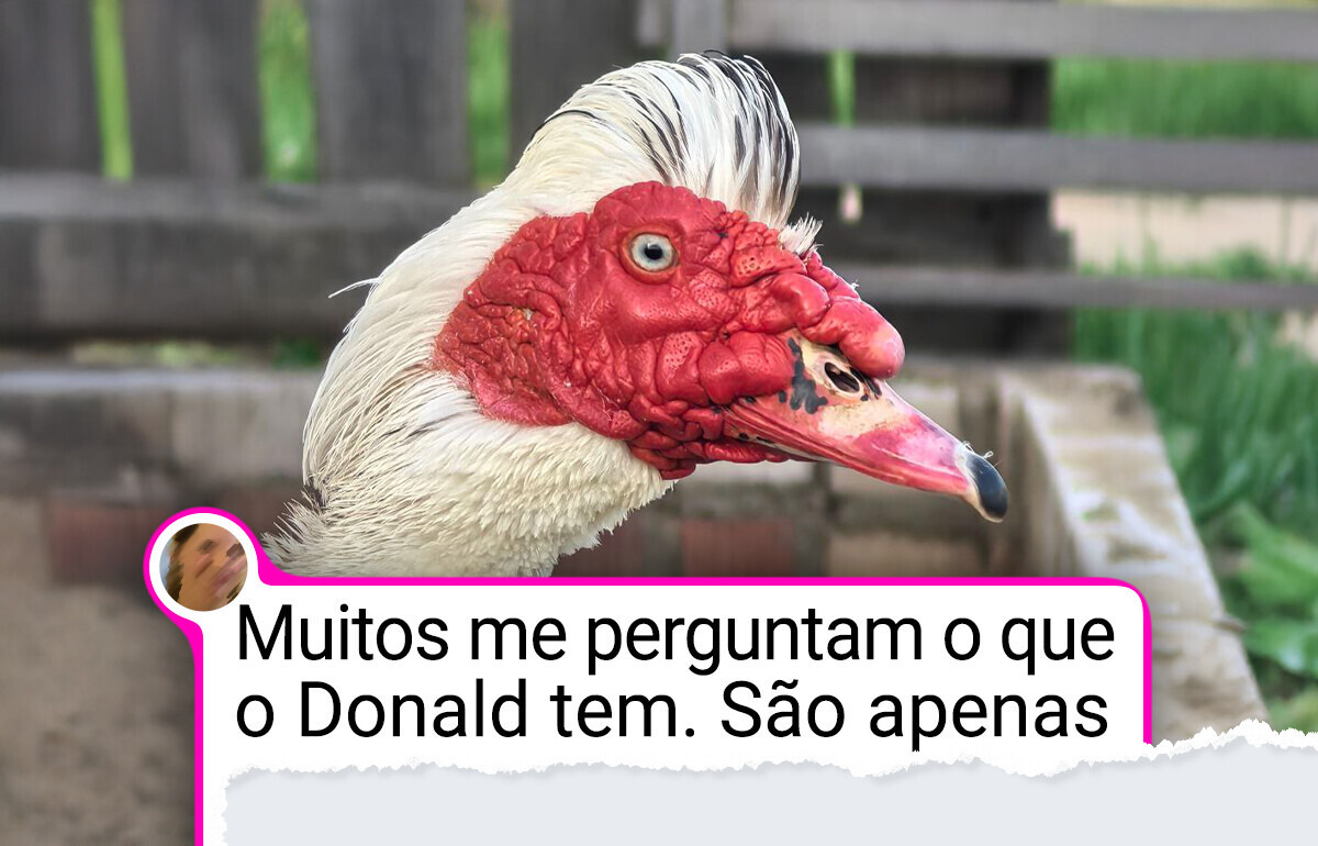 19 Pets com traços únicos que seus donos decidiram mostrar ao mundo