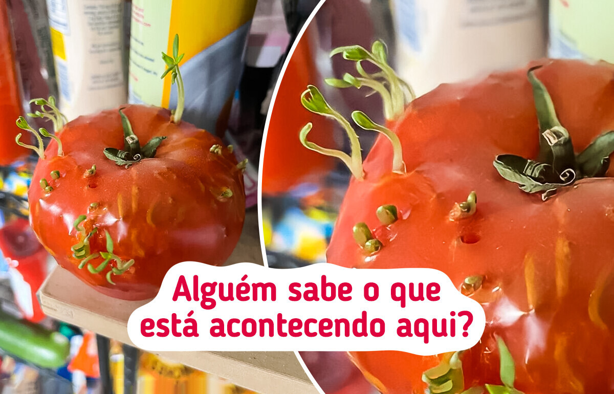 18 Fotos comuns que nos fizeram questionar: “O que está acontecendo aqui?”