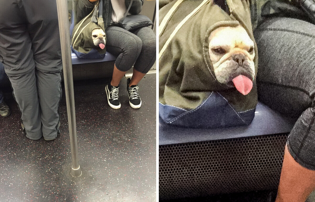 20 Fotos que vão fazer você dar zoom e, ainda assim, não entendê-las