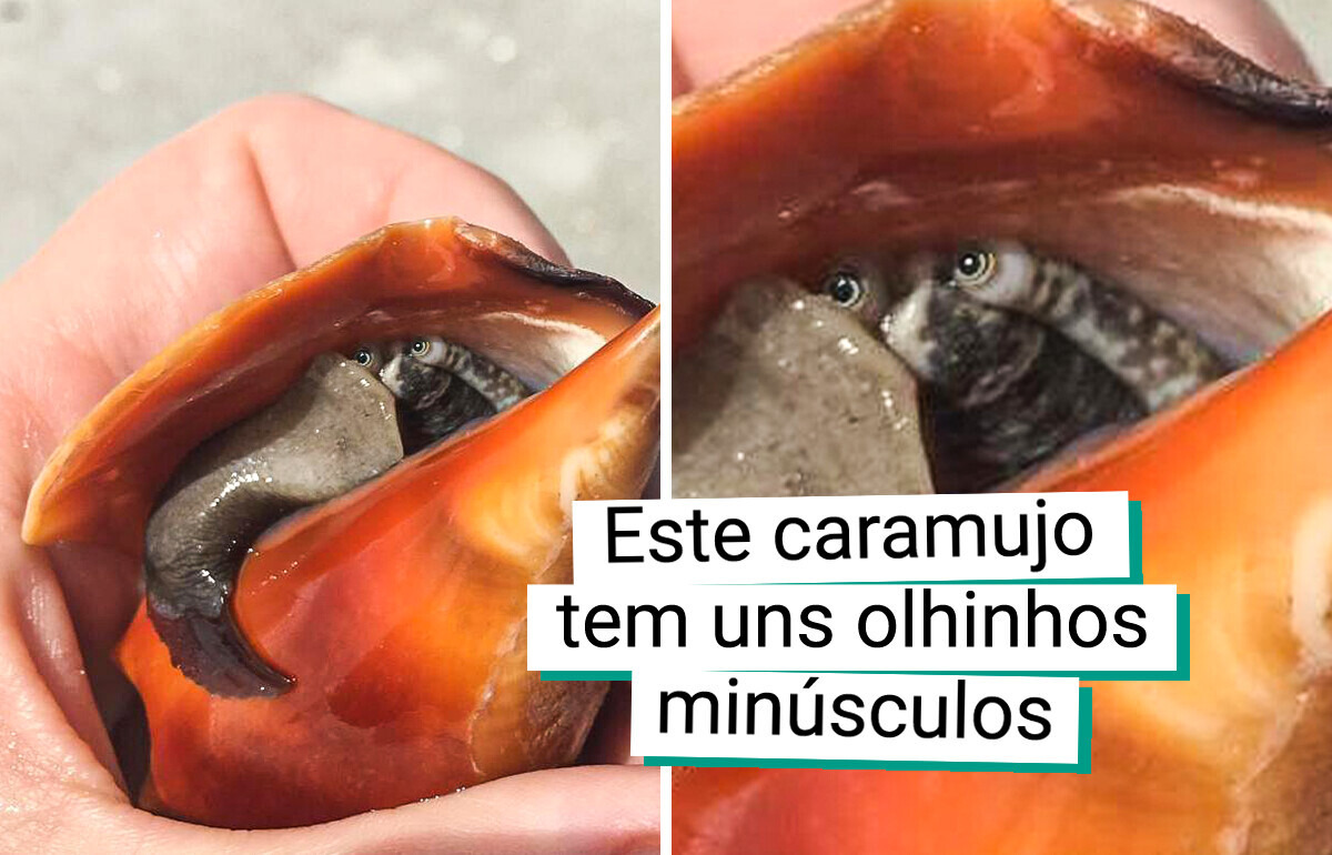 20 Cenas tão raras e estranhas que jamais sairão da cabeça de quem viu