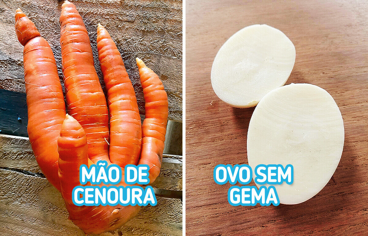 Não dá para acreditar que essas 20 descobertas realmente existem