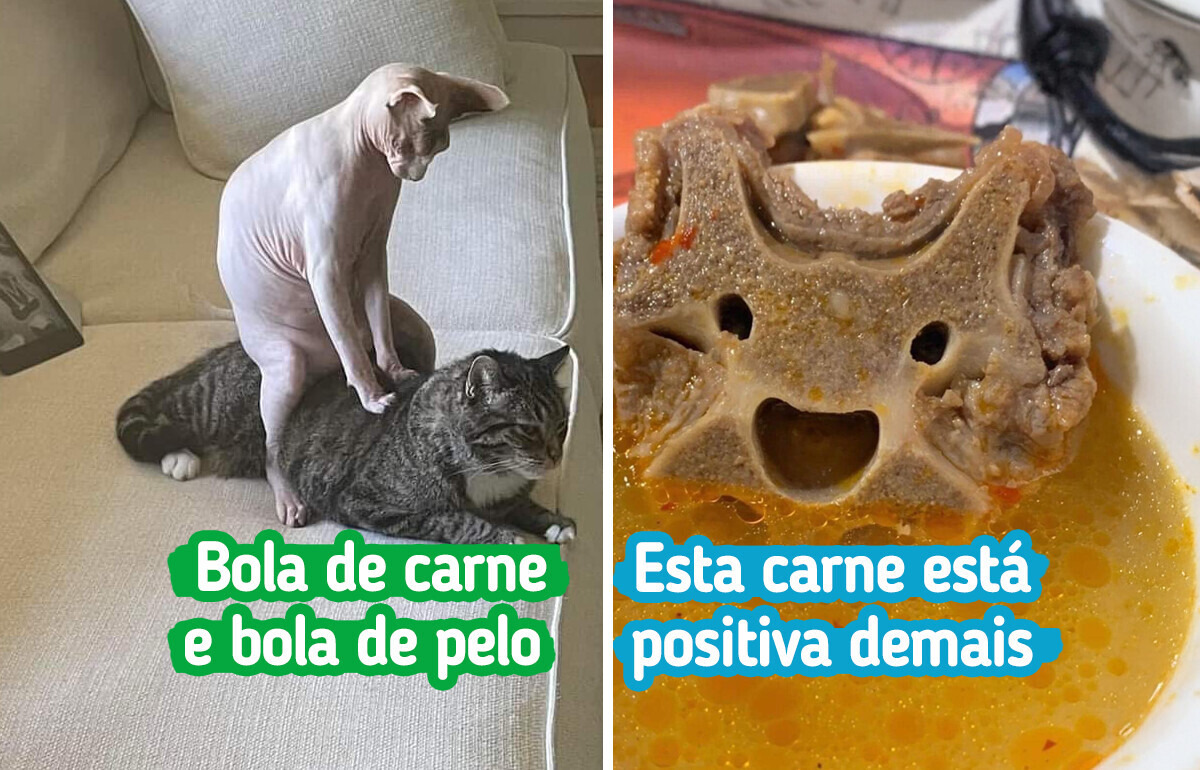 19 Fotos aleatórias, mas com grande potencial para boas risadas