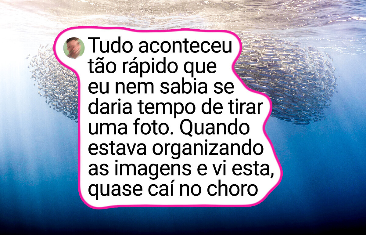 18 Provas de que a natureza ainda é a maior artista do planeta