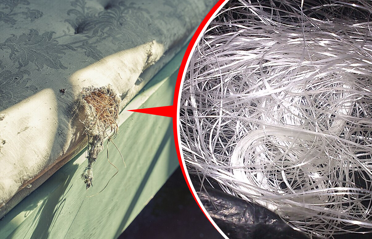 Por que remover o forro do colchão para lavá-lo pode por sua saúde em risco Por que remover o forro do colchão para lavá-lo pode por sua saúde em risco