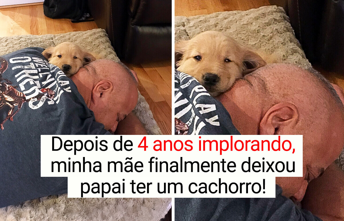 20 Fotos que são um carinho para os olhos e um conforto para a alma