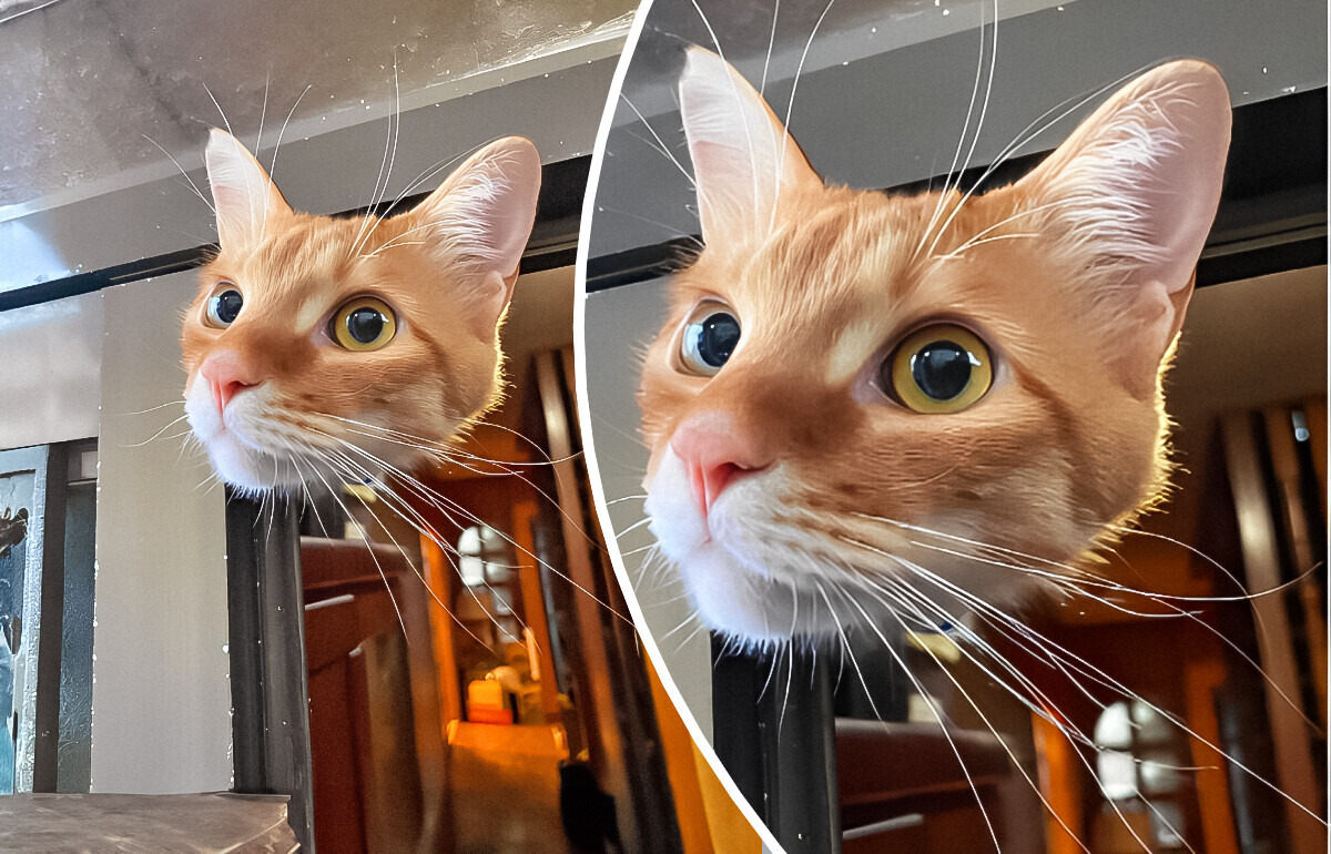 13 Fotos que dão um nó nos olhos sem fazer esforço