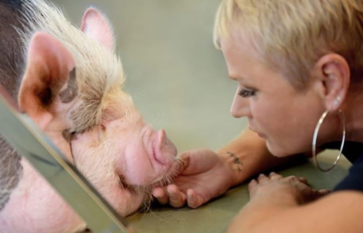 Xuxa quer que os pais repensem a escolha de servir animais aos filhos
