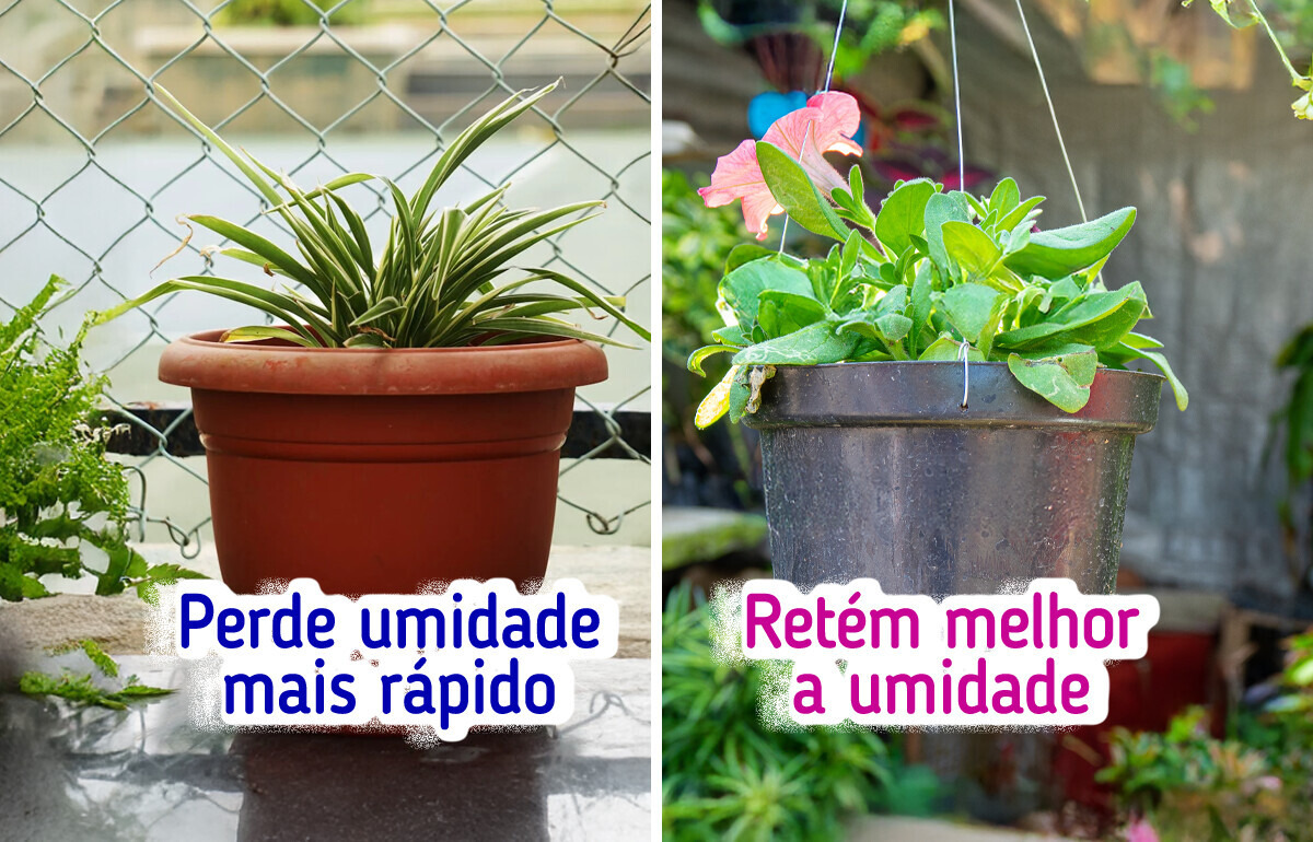 Aprenda a usar os vasos que tem em casa para começar sua própria horta Aprenda a usar os vasos que tem em casa para começar sua própria horta